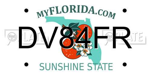 DV84FR Florida License Plate