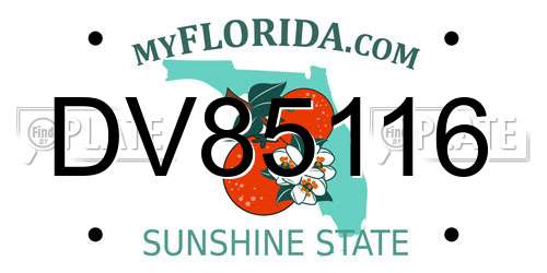 DV85116 Florida License Plate