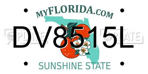 DV8515L Florida License Plate