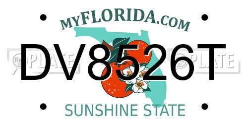 DV8526T Florida License Plate