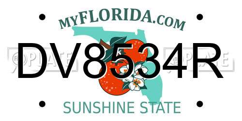 DV8534R Florida License Plate