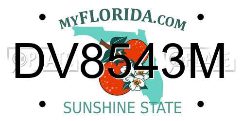 DV8543M Florida License Plate