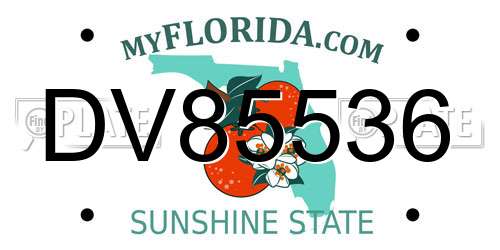 DV85536 Florida License Plate
