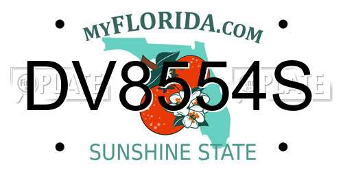 DV8554S Florida License Plate