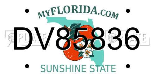 DV85836 Florida License Plate