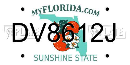 DV8612J Florida License Plate