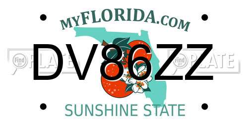 DV86ZZ Florida License Plate