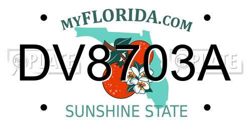 DV8703A Florida License Plate