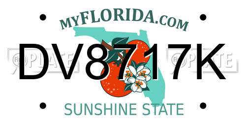 DV8717K Florida License Plate