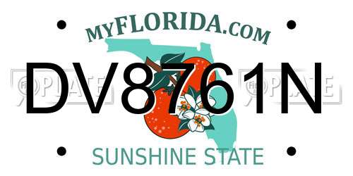 DV8761N Florida License Plate