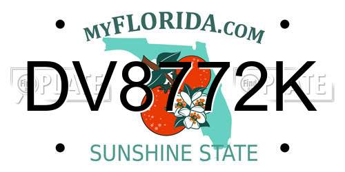 DV8772K Florida License Plate