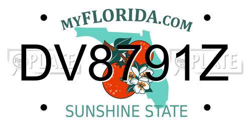 DV8791Z Florida License Plate