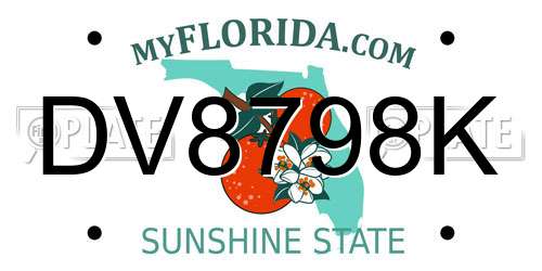 DV8798K Florida License Plate