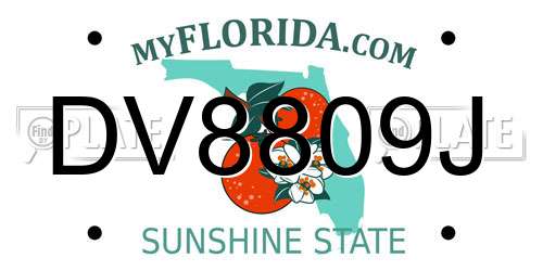 DV8809J Florida License Plate