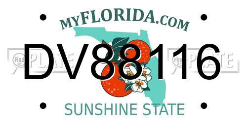 DV88116 Florida License Plate