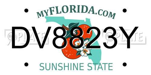 DV8823Y Florida License Plate