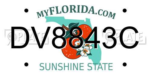 DV8843C Florida License Plate