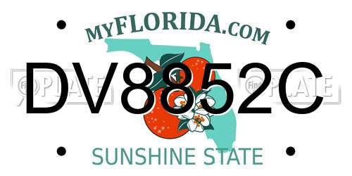 DV8852C Florida License Plate