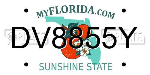DV8855Y Florida License Plate