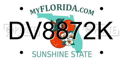 DV8872K Florida License Plate