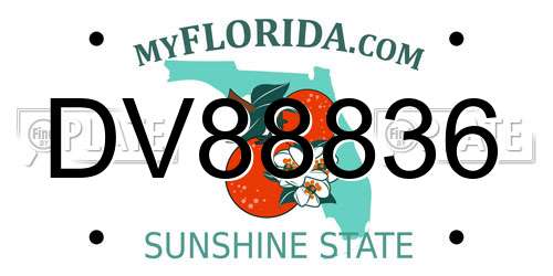 DV88836 Florida License Plate