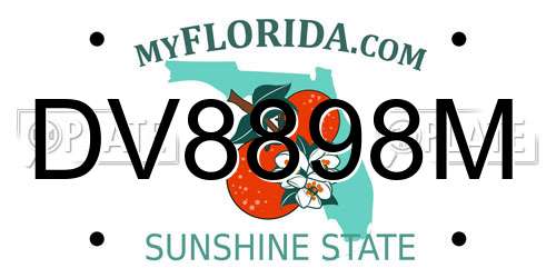 DV8898M Florida License Plate