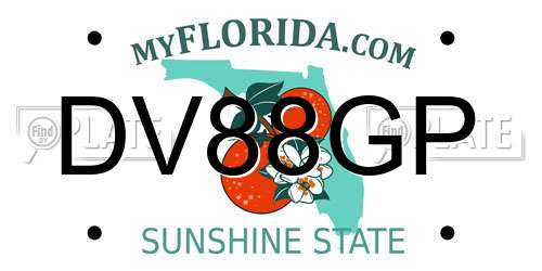 DV88GP Florida License Plate