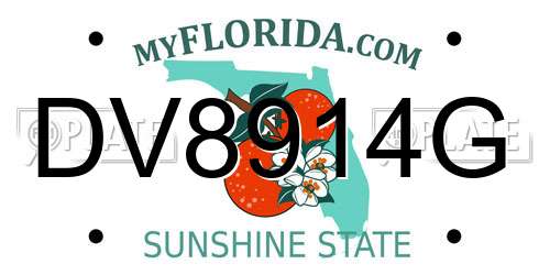 DV8914G Florida License Plate