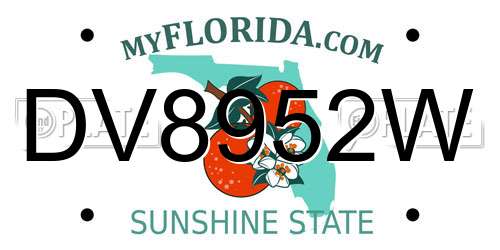 DV8952W Florida License Plate