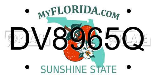 DV8965Q Florida License Plate