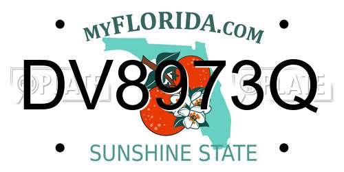 DV8973Q Florida License Plate