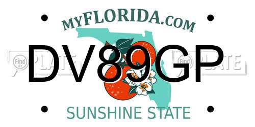 DV89GP Florida License Plate
