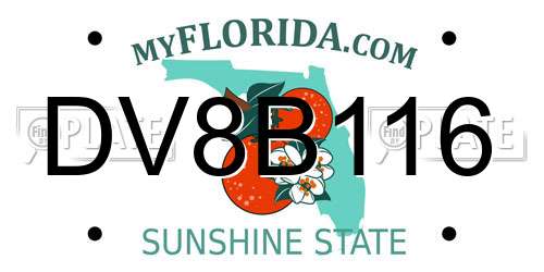 DV8B116 Florida License Plate