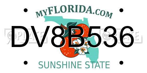 DV8B536 Florida License Plate