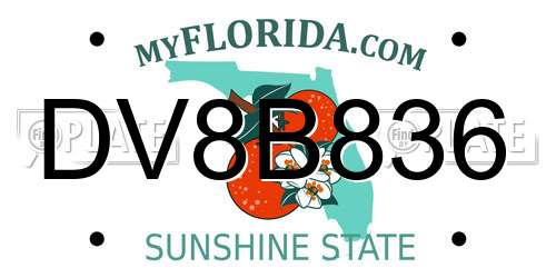 DV8B836 Florida License Plate