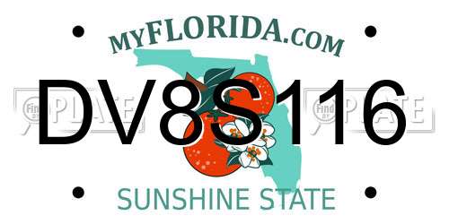 DV8S116 Florida License Plate