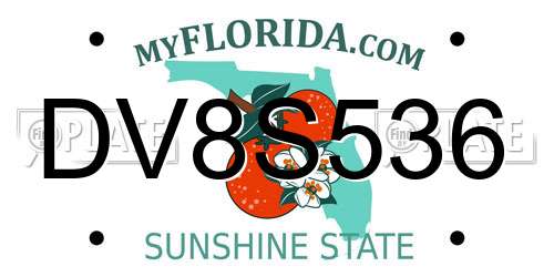DV8S536 Florida License Plate