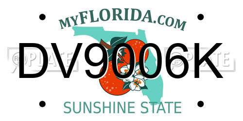 DV9006K Florida License Plate