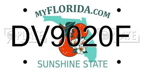 DV9020F Florida License Plate