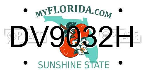 DV9032H Florida License Plate