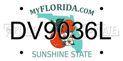 DV9036L Florida License Plate
