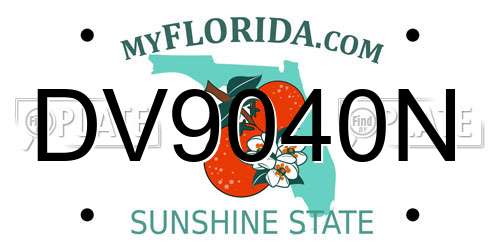 DV9040N Florida License Plate
