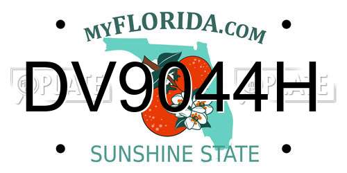 DV9044H Florida License Plate