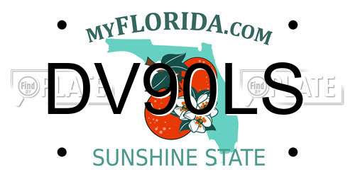 DV90LS Florida License Plate