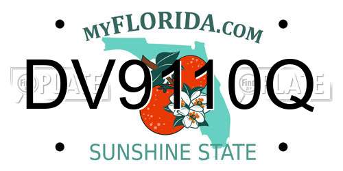 DV9110Q Florida License Plate