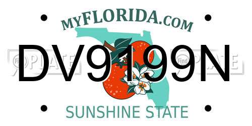 DV9199N Florida License Plate