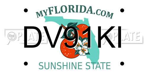DV91KI Florida License Plate