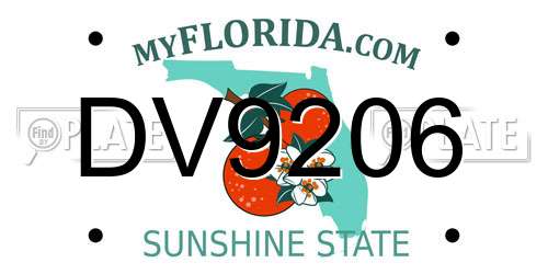 DV9206 Florida License Plate