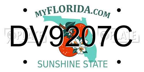 DV9207C Florida License Plate