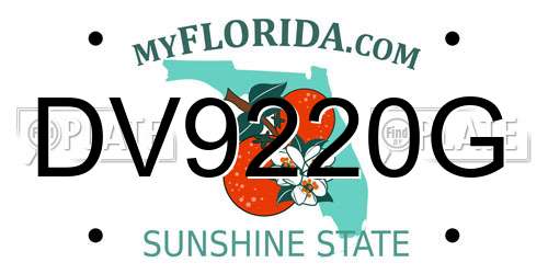 DV9220G Florida License Plate